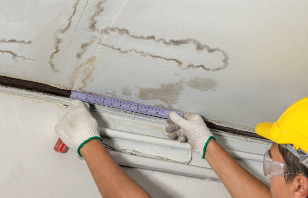 Reliable Basement Water Removal contractor in Ada, MI by Water Damage Irwin